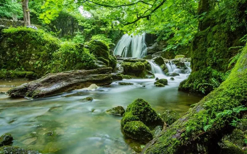 高标准智能